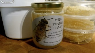 20160902_111835_resized